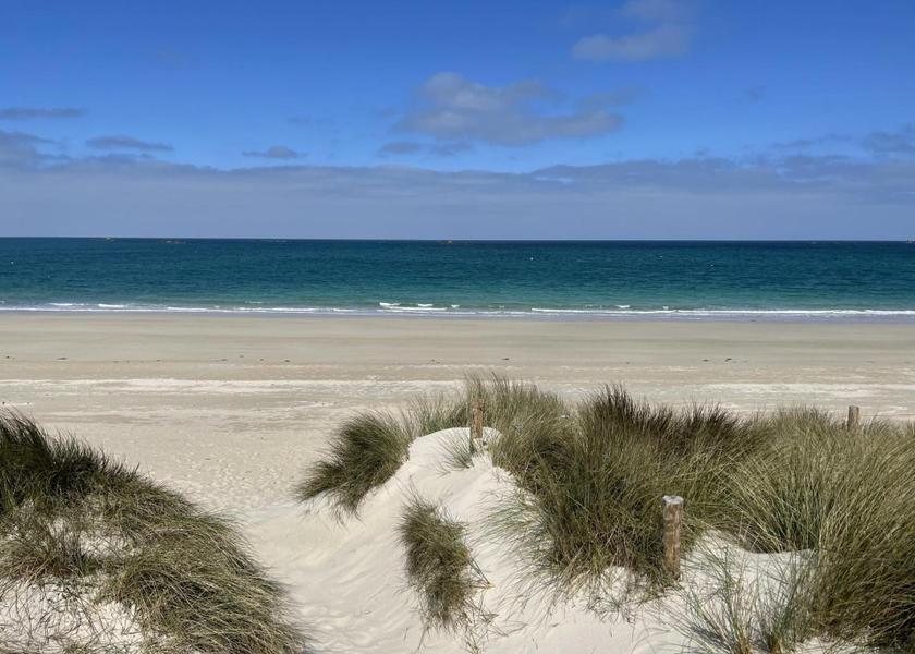 surrounding environment