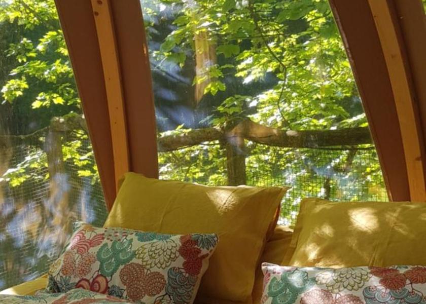 Auvergne-Rhone-Alpes Thyez 