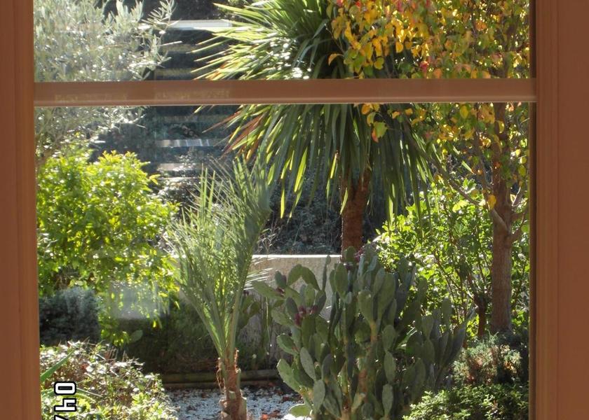 Corsica Patrimonio garden