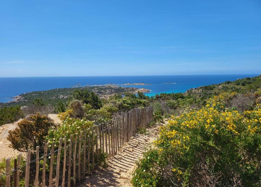 Corsica Conca 