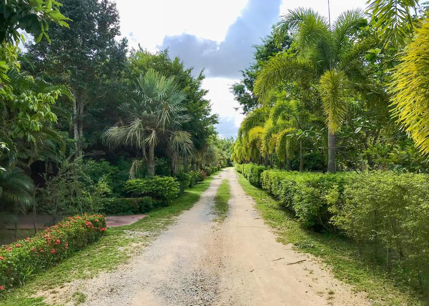 Rayong Province Ban Chang garden