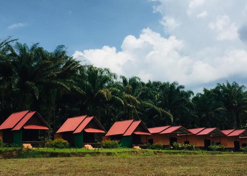 Surat Thani Province Phanom surrounding environment