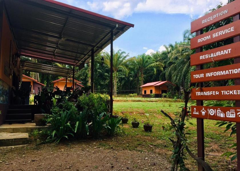 Surat Thani Province Phanom surrounding environment