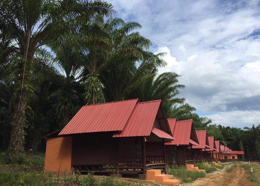 Surat Thani Province Phanom view
