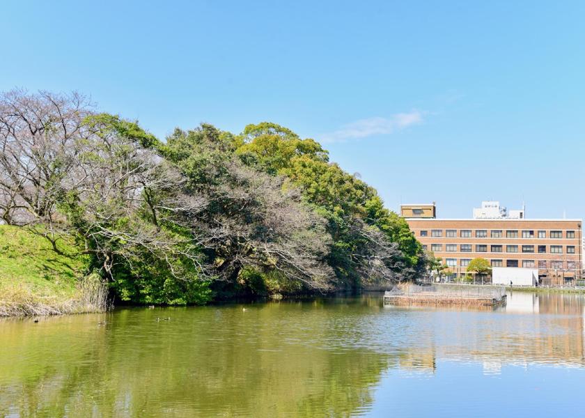 Fukuoka Fukuoka 