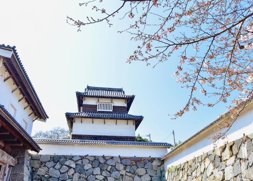 Fukuoka Fukuoka 