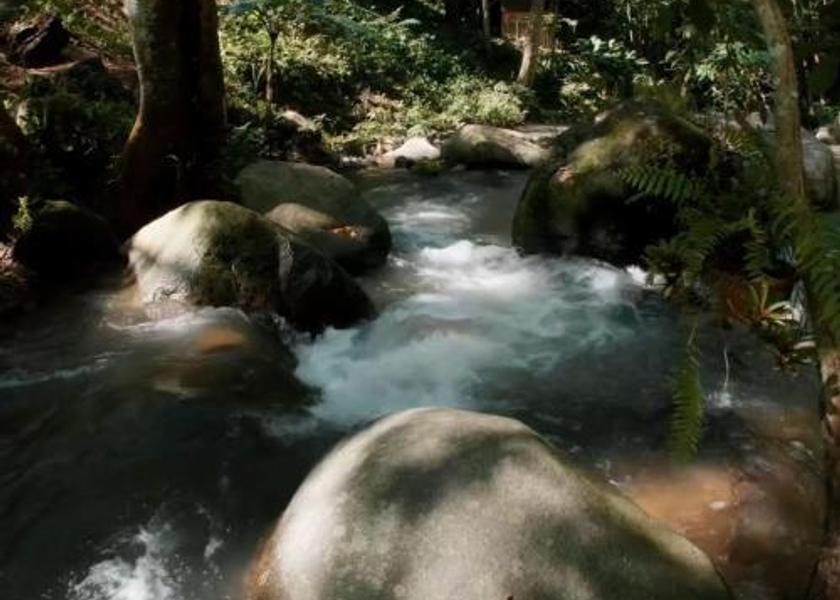 Chiang Mai Province Doi Saket 
