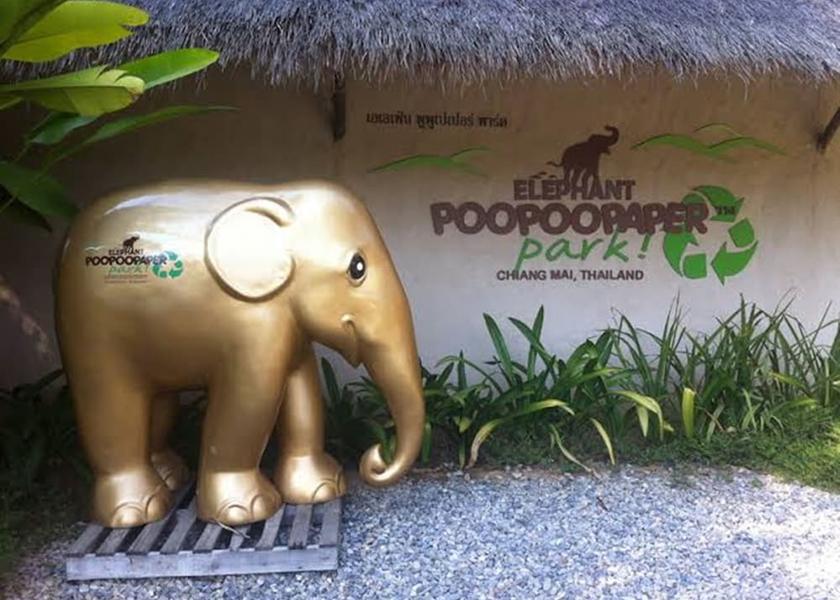 Chiang Mai Province San Sai Ecotours