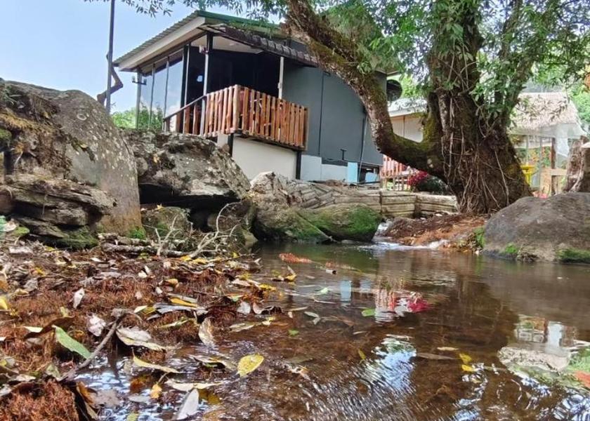 surrounding environment