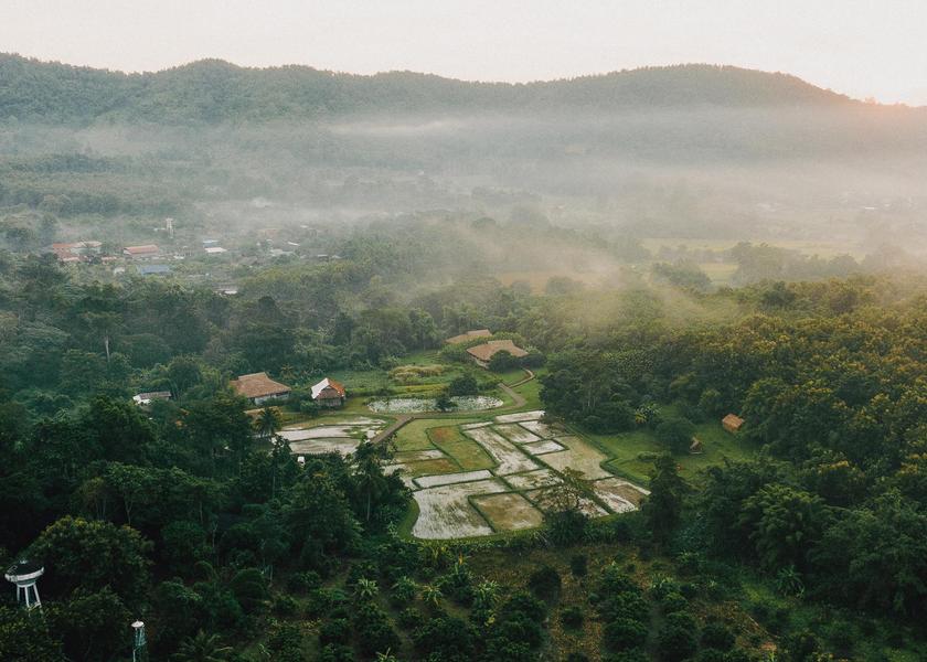 surrounding environment