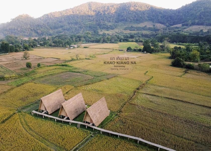 surrounding environment