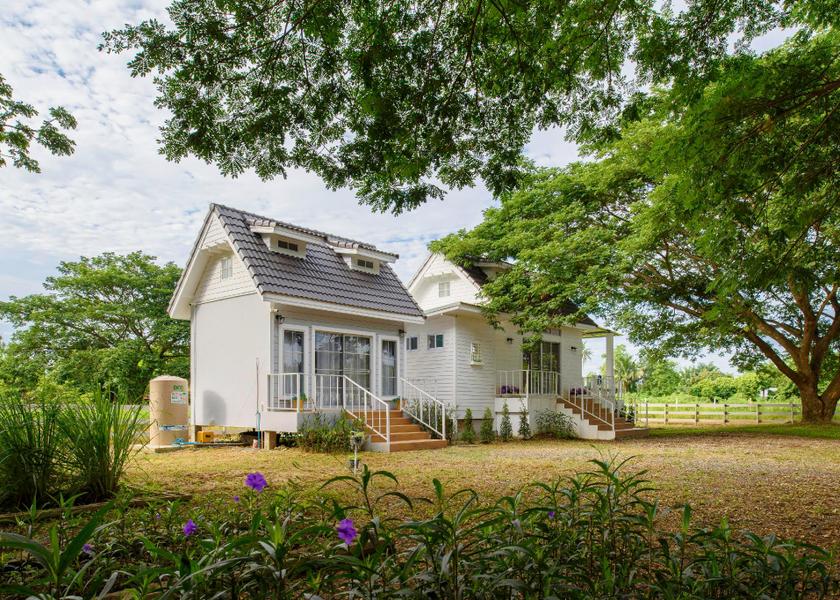 surrounding environment