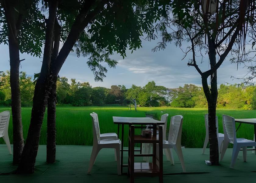 Chiang Mai Province San Kamphaeng view