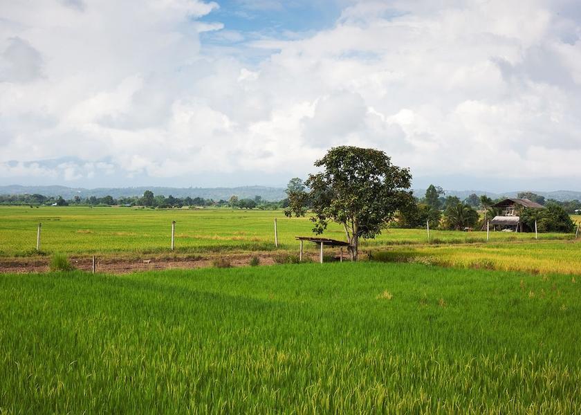 Chiang Mai Province San Sai Land view from property