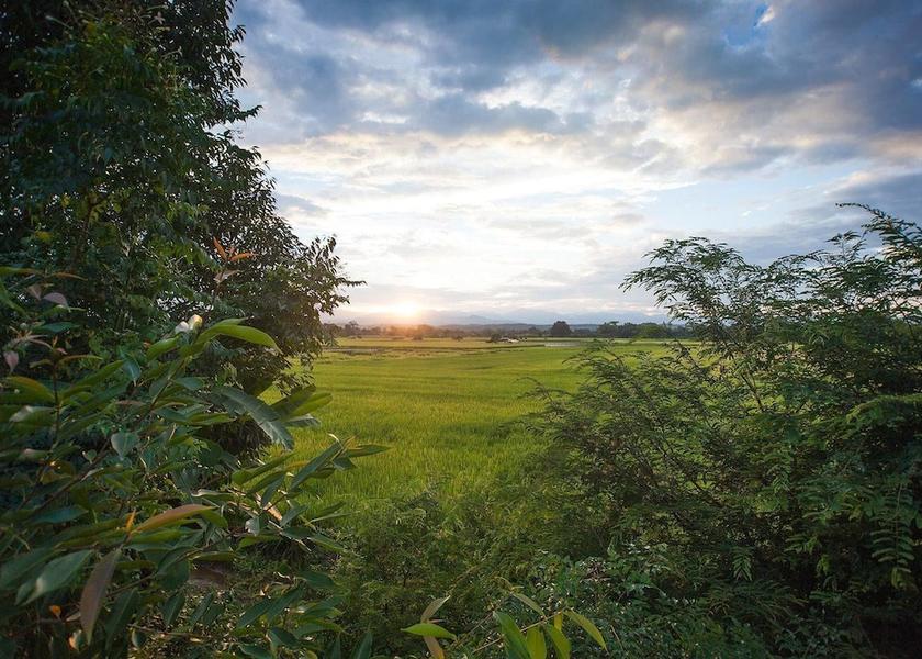 Chiang Mai Province San Sai Property grounds