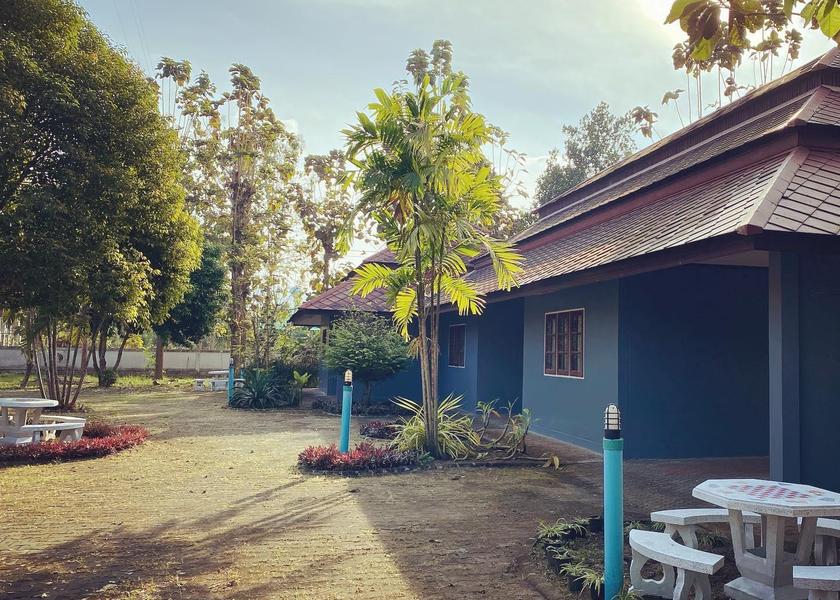 surrounding environment