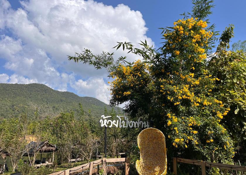Chiang Mai Province San Kamphaeng 