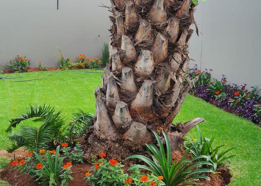 Gauteng Kempton Park 