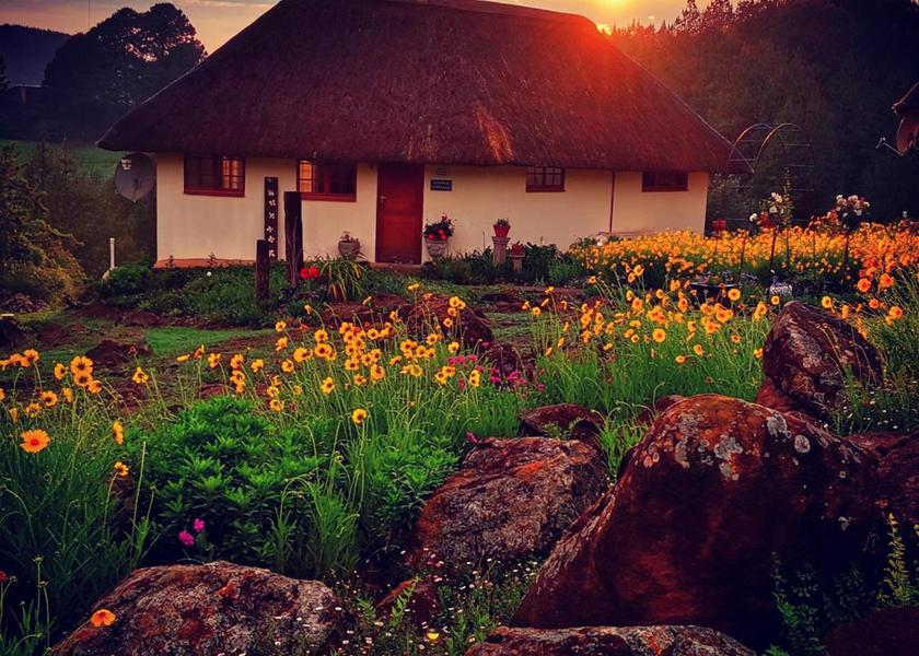 KwaZulu-Natal Fort Nottingham garden