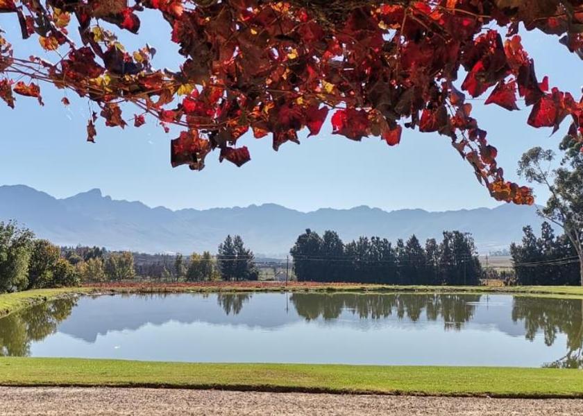 Western Cape Tulbagh 