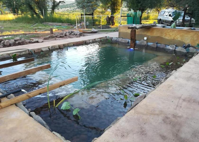Eastern Cape Lukanji swimming pool
