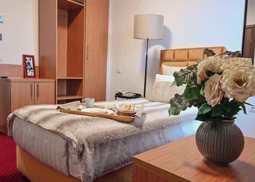 Ilfov Otopeni Room