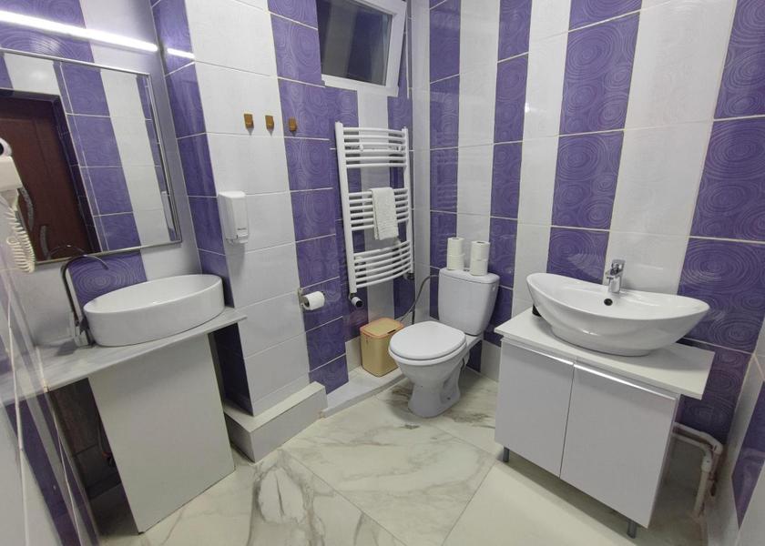 Ilfov Otopeni King Room with Balcony