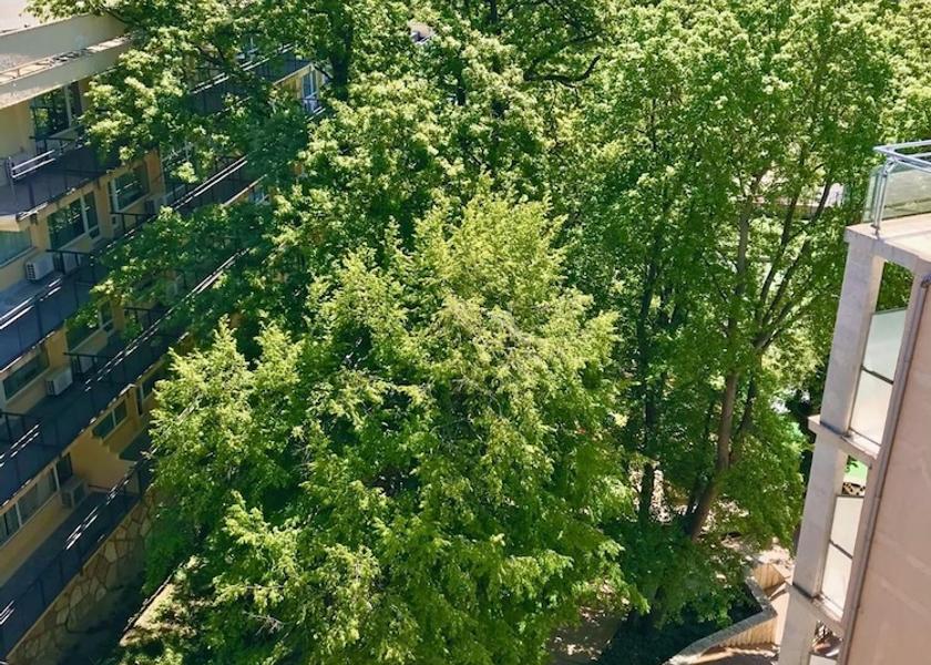 Varna Province Golden Sands Balcony