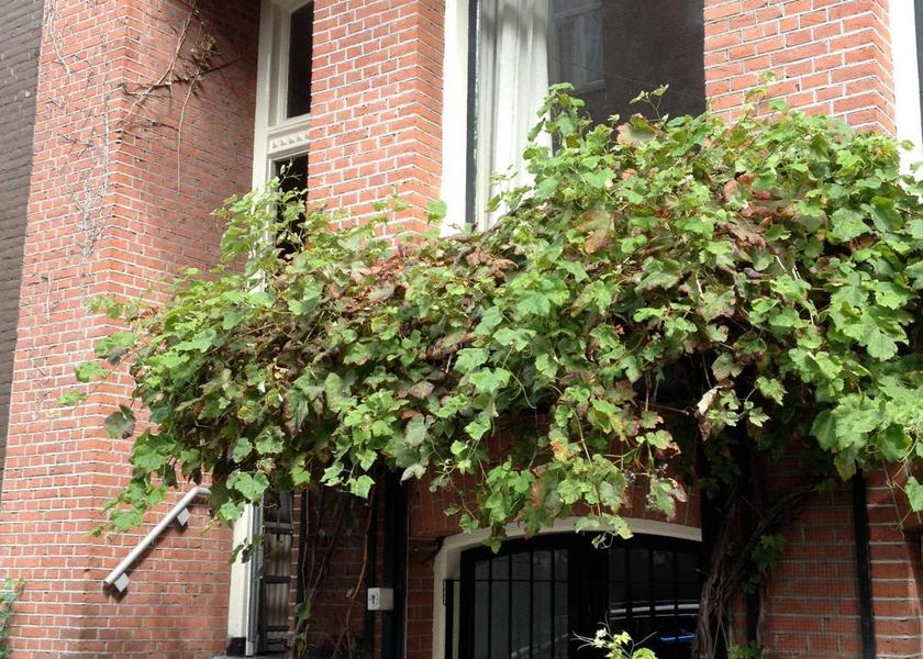 North Brabant 's-Hertogenbosch entrance