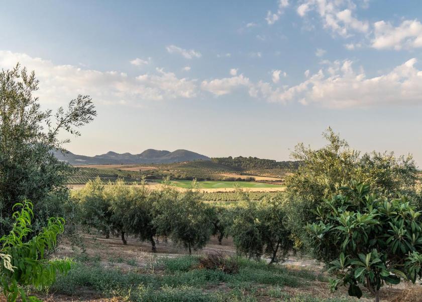 Andalucia Granada surrounding environment