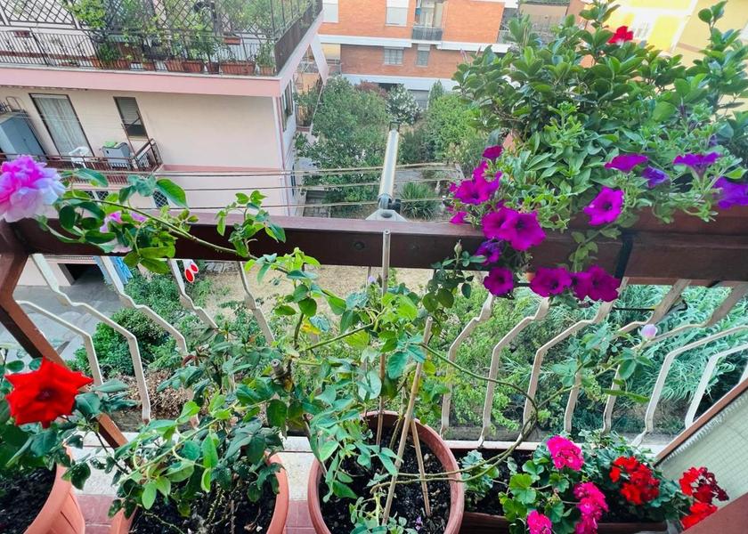 Lazio Marino balcony/terrace
