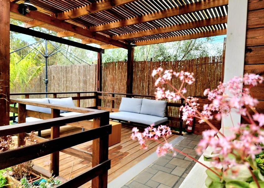 Southern Arad garden