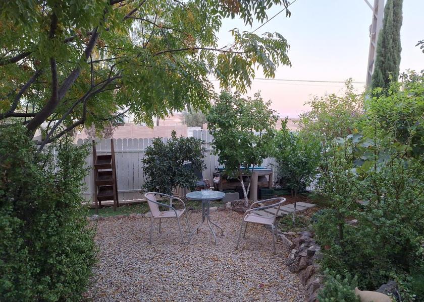 Southern Arad garden