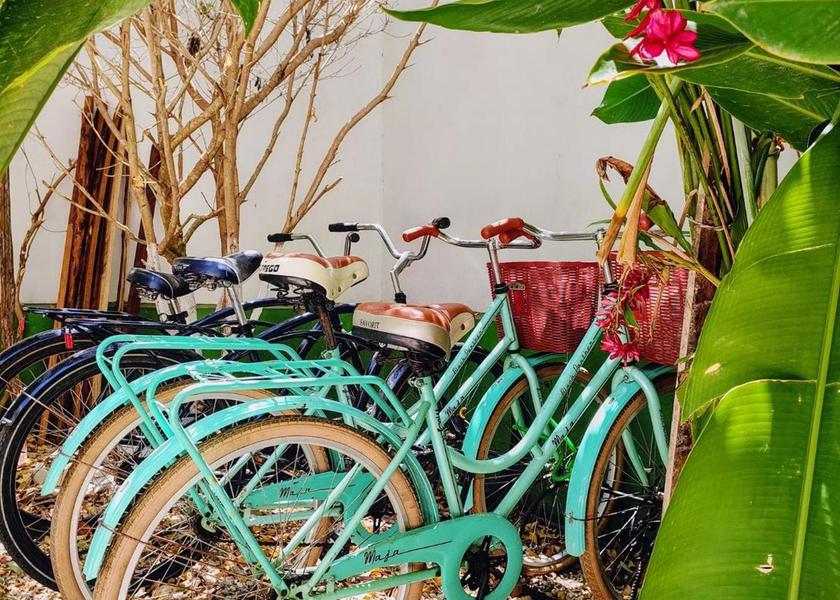 Veracruz Cordoba sports and activities