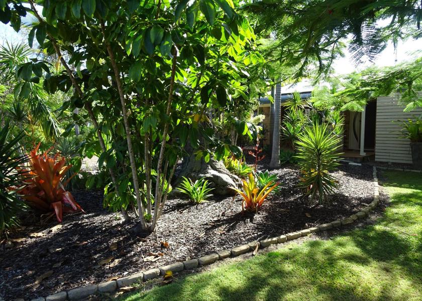 Queensland Bundaberg garden