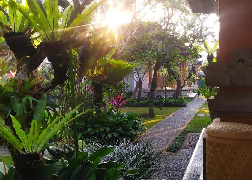 Bali Payangan 
