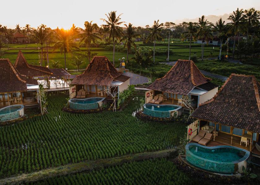 surrounding environment