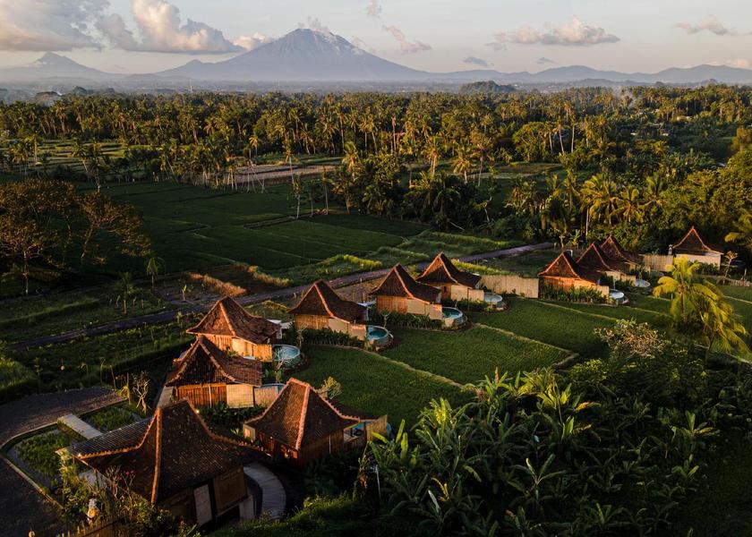 surrounding environment