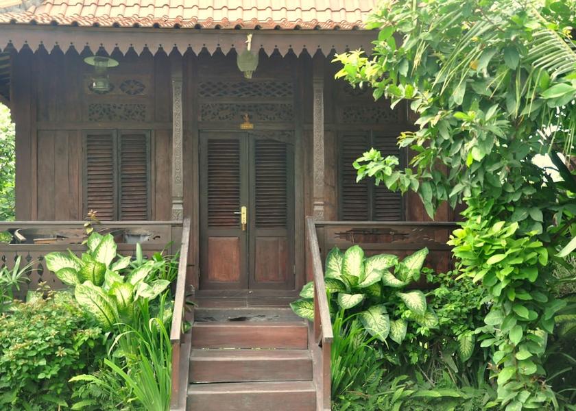 Bali Canggu View from property