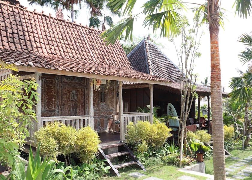 Bali Canggu Room