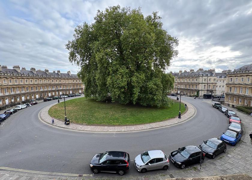 surrounding environment