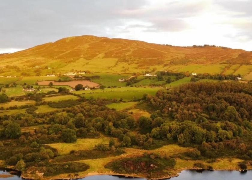 surrounding environment