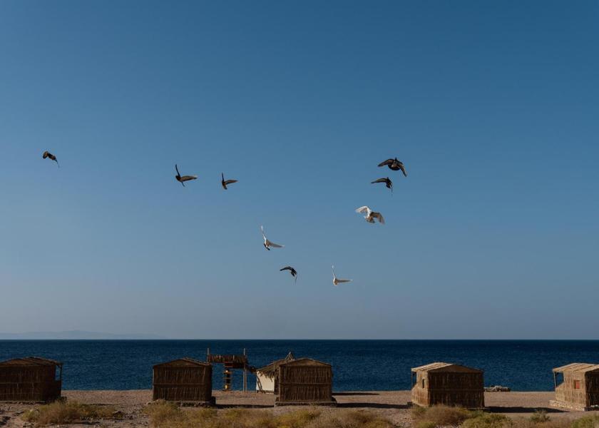South Sinai Governate Dahab surrounding environment