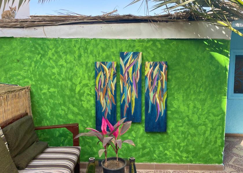 South Sinai Governate Dahab facilities