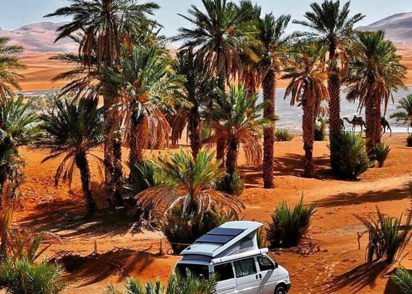 Drâa-Tafilalet Taouz 