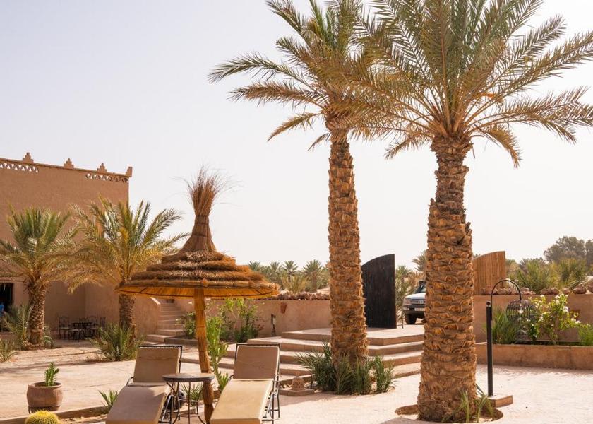 Drâa-Tafilalet Taouz garden