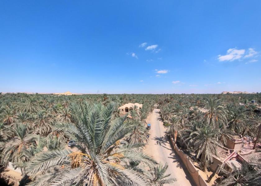 surrounding environment