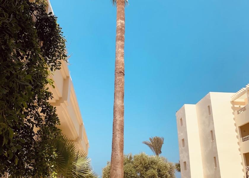 Sousse Governorate Sousse Garden