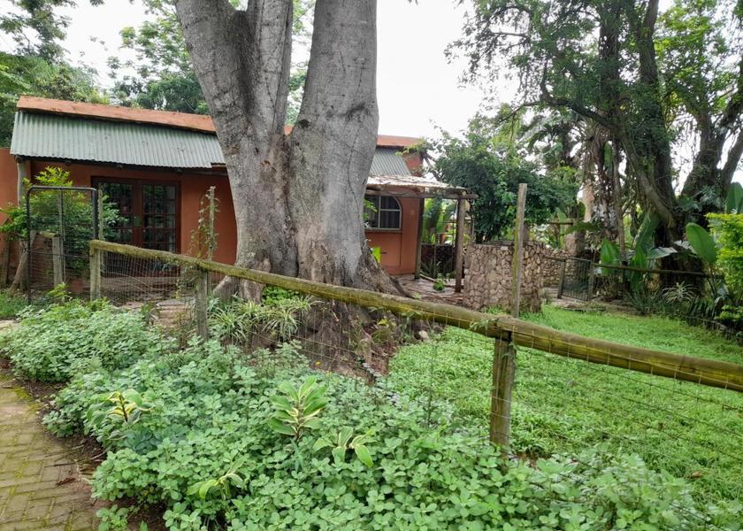 Mpumalanga Mbombela garden
