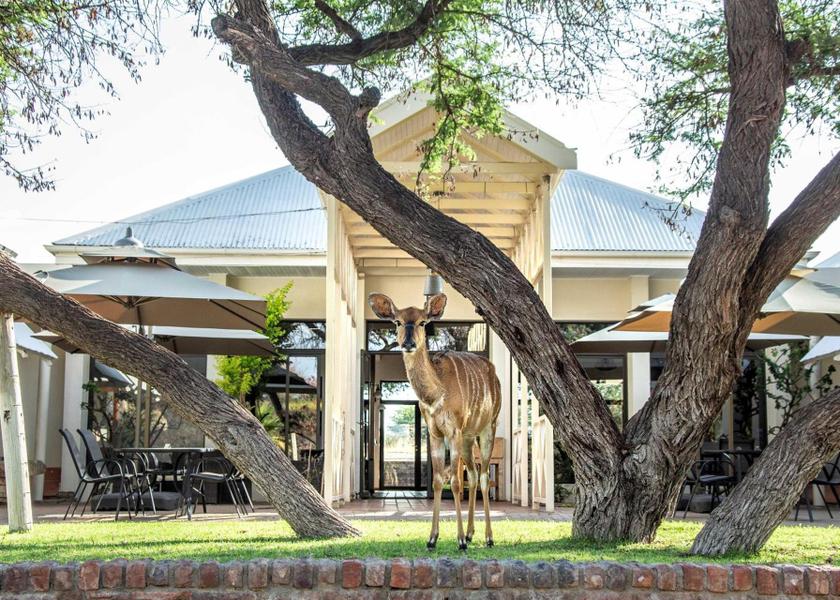 Otjozondjupa Region Otjiwarongo exterior view